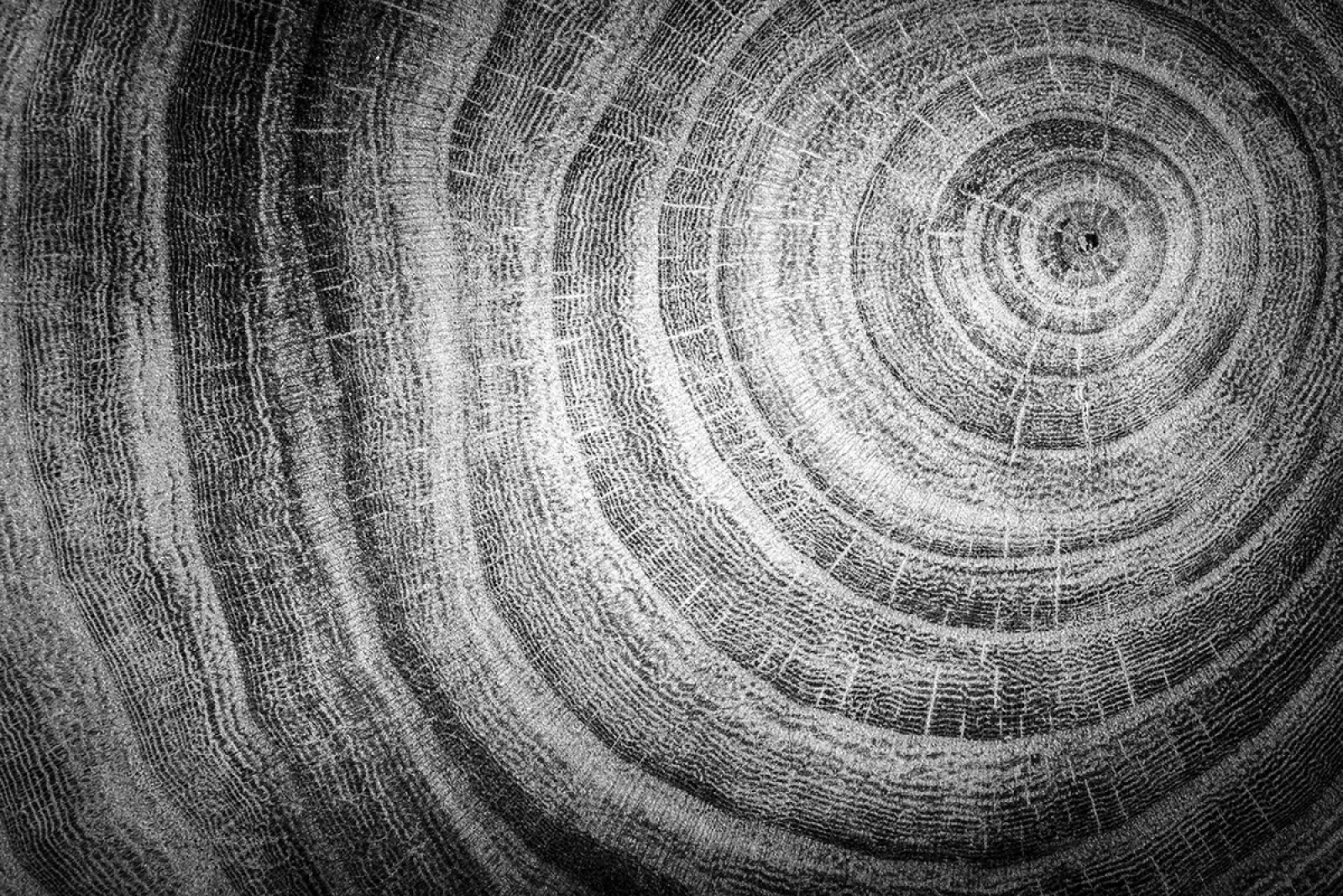 Woodgrain 72dpi BW
