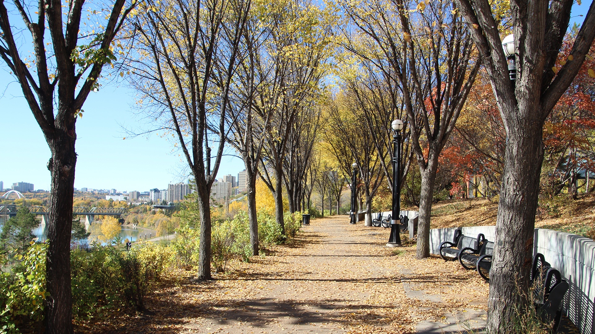 Benches fall edmonton 1920x1080