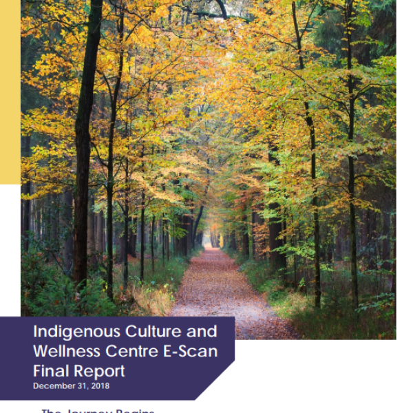 Indigenous Culture and Wellness Centre E-Scan Final Report